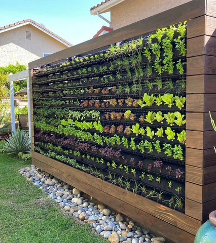 Vertical Garden